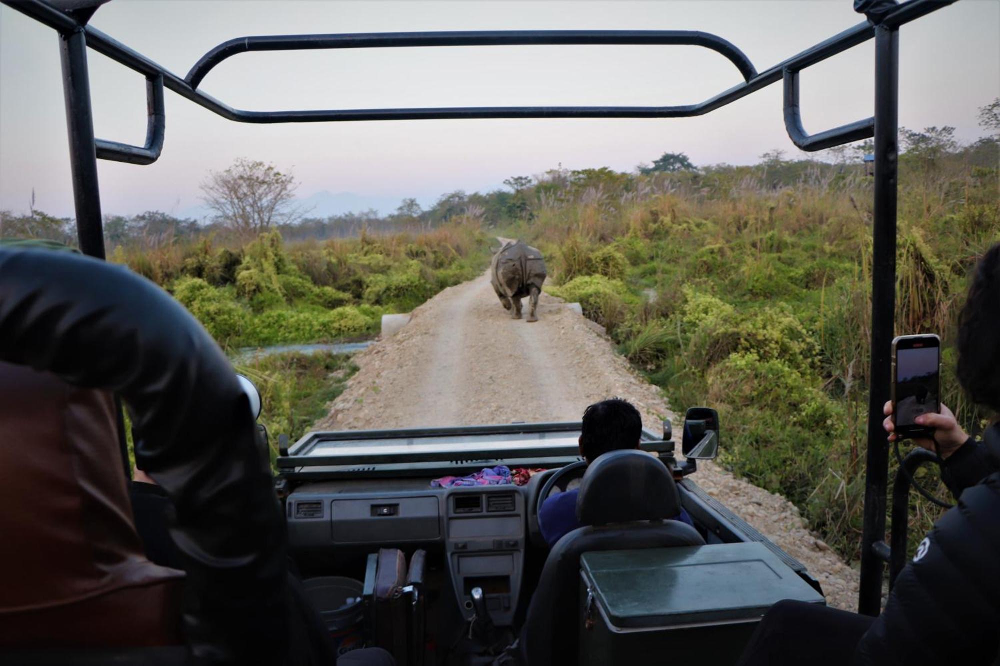 Hotel Flycatcher Chitwan- A Jungle Safari Home 사우라하 외부 사진